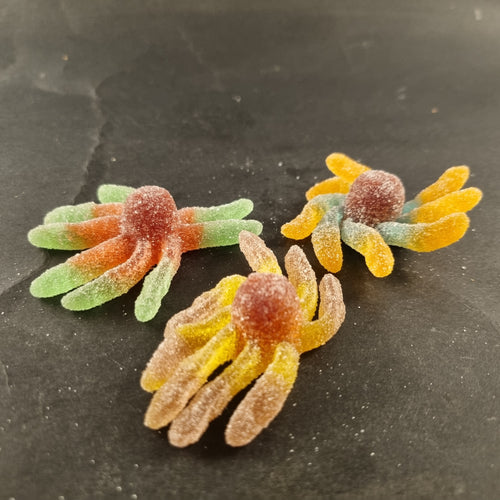 Octopus - Sour