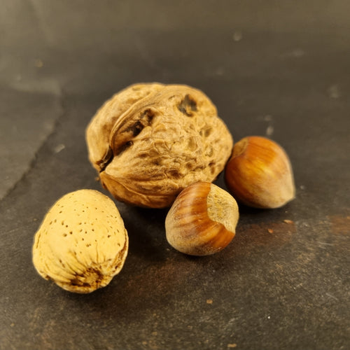 Mixed Nuts in Shells- Raw
